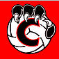 Georgian Cubs Volleyball Club