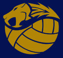 Thundercats Volleyball Club